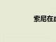 索尼在虛擬世界中前進