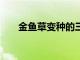金魚草變種的三星銀河S20FE4G發售