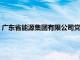 廣東省能源集團有限公司黨委委員 副總經理姚紀恒接受審查調查