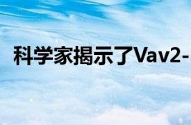 科學家揭示了Vav2-SH2蛋白的雙重特異性