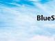 BlueSadie耳機評測
