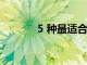 5 種最適合糖尿病患者的食物