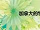 加拿大的學(xué)生人數(shù)激增70%