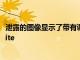 泄露的圖像顯示了帶有調(diào)整遙控器的AmazonFireTVStickLite