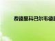費德里科巴爾韋德屬于是烏拉圭足球的后起之秀