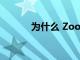 為什么 Zoom 通話質(zhì)量不夠好