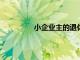 小企業(yè)主的退休策略選擇傳統(tǒng)退休策略