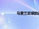馬里蘭足球的近端鋒將在下個賽季復蘇
