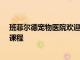 班菲爾德寵物醫院歡迎其2022年NextVet實習計劃的首屆課程
