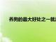 養(yǎng)狗的最大好處之一就是可以到戶外進(jìn)行一些相互的活動(dòng)