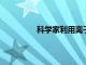 科學家利用離子束技術培育水稻新品種