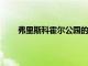 弗里斯科霍爾公園的重建計(jì)劃于今年晚些時(shí)候開始