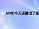 AMD今天還推出了面向商務本的銳龍6000 PRO系列