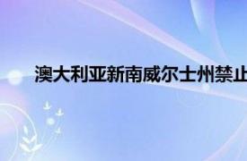 澳大利亞新南威爾士州禁止在南德雷頓地區進行露天開采