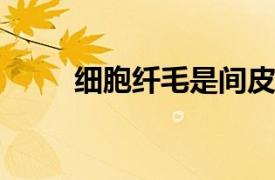 細胞纖毛是間皮瘤分化的早期跡象