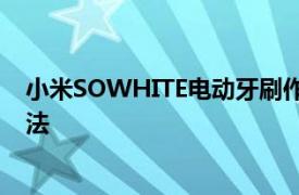 小米SOWHITE電動牙刷作為保持牙齒清潔和光澤的終極方法
