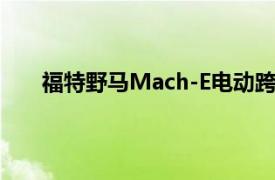 福特野馬Mach-E電動跨界車的車主遇到了新的故障