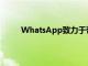 WhatsApp致力于帶來頭像可用作個人資料圖片