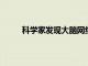 科學家發(fā)現(xiàn)大腦網(wǎng)絡以觀察和回憶社交威脅互動
