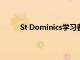 St Dominics學習者包攬國際科學與工程獎亞軍