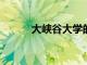 大峽谷大學的入學人數仍在增長