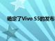 確定了Vivo S5的發(fā)布日期將在相機(jī)和設(shè)計(jì)上大放異彩