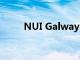 NUI Galway 被評為年度最佳大學(xué)