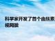 科學家開發了首個由絲素蛋白和視網膜細胞構建的生物雜交人工視網膜