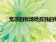 荒涼的牧場給孤獨的牧民留下了許多自言自語的記憶