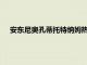 安東尼奧孔蒂托特納姆熱刺在VAR通話中哈里凱恩越位進球