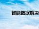 智能數據解決方案慶祝成立20周年