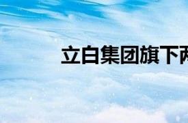 立白集團(tuán)旗下兩家海南公司減資
