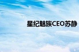 星紀(jì)魅族CEO蘇靜：研發(fā)推進(jìn)折疊屏手機(jī)