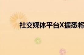 社交媒體平臺X據(jù)悉將申請恢復(fù)其在巴西的服務(wù)
