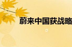 蔚來中國獲戰略投資者新一輪增資