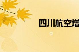 四川航空增資至106億元