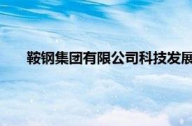 鞍鋼集團有限公司科技發展部原部長張立芬接受審查調查