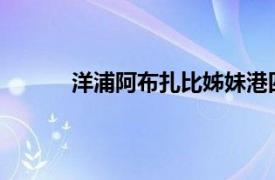 洋浦阿布扎比姊妹港四方合作諒解備忘錄簽署