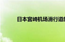 日本宮崎機場滑行道部分塌陷，暫無人員受傷