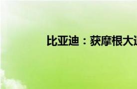比亞迪：獲摩根大通增持近18億港元H股