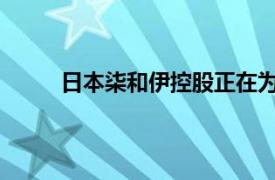 日本柒和伊控股正在為零售和超市業務尋找買家