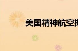 美國精神航空據悉可能申請破產