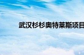 武漢杉杉奧特萊斯項目預計明年春節前全面封頂