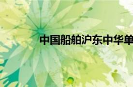 中國船舶滬東中華單月交付三艘大型LNG船