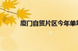 廈門自貿片區今年單筆最大飛機租賃項目落地