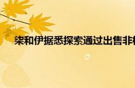 柒和伊據悉探索通過出售非核心資產，以加強收購防御能力