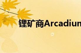 鋰礦商Arcadium確認力拓收購計劃