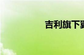 吉利旗下翼真汽車換帥