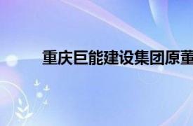 重慶巨能建設(shè)集團原董事長劉英杰接受審查調(diào)查