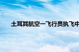 土耳其航空一飛行員執(zhí)飛中死亡，飛機(jī)緊急降落美國紐約